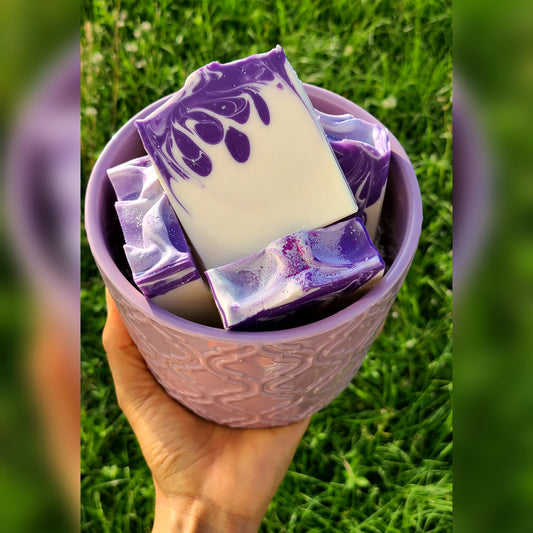 Lavender Dreams